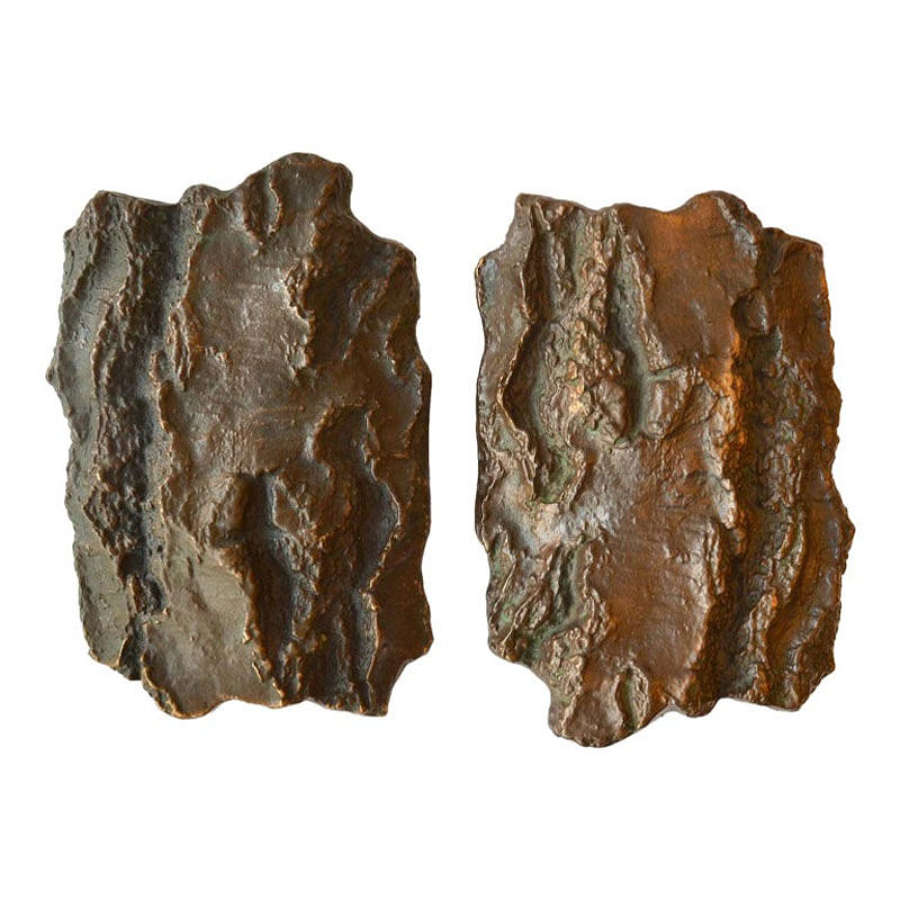 Pair of Bronze Door Handles with tree bark motif