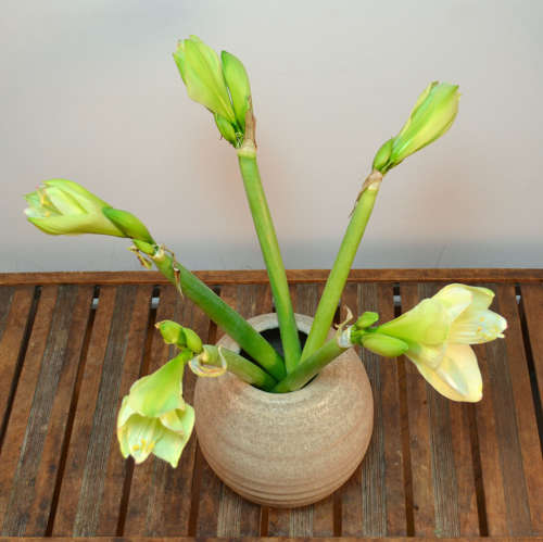 Three Ivory White 1980's Studio Pottery Vases