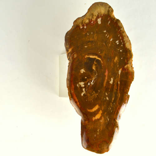 Architectural Push Pull Door Handle in Petrified Wood