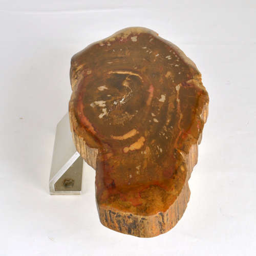 Architectural Push Pull Door Handle in Petrified Wood