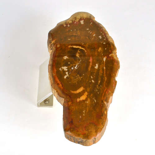 Architectural Push Pull Door Handle in Petrified Wood