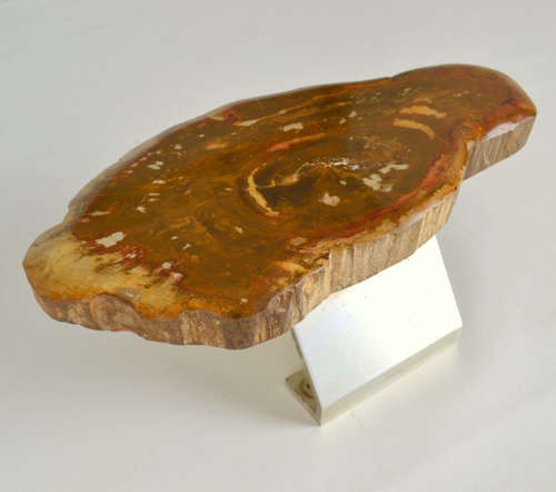 Architectural Push Pull Door Handle in Petrified Wood