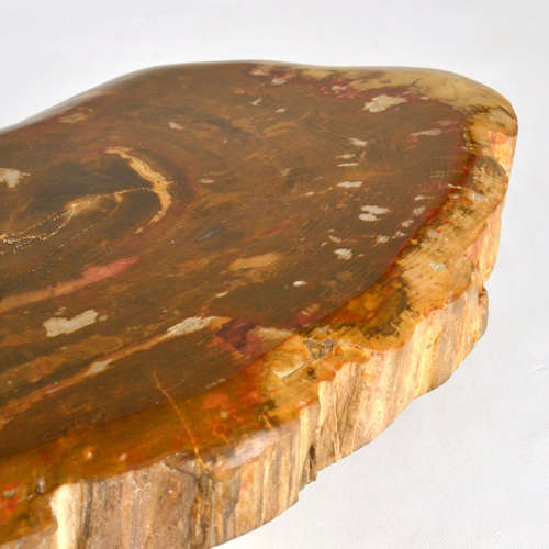 Architectural Push Pull Door Handle in Petrified Wood