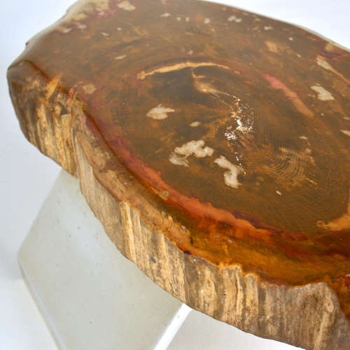 Architectural Push Pull Door Handle in Petrified Wood