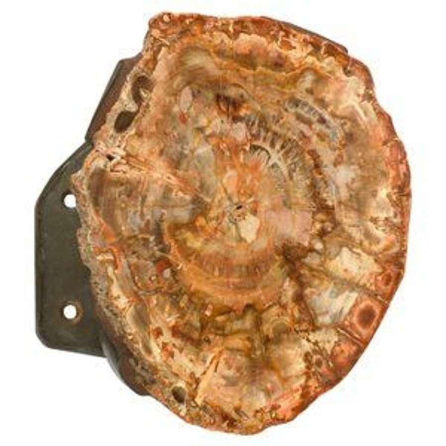 Architectural Push Pull Door Handle in Petrified Wood and Bronze