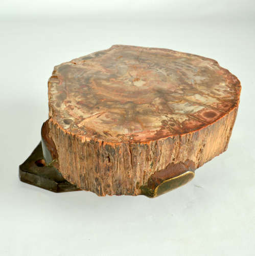 Architectural Push Pull Door Handle in Petrified Wood and Bronze