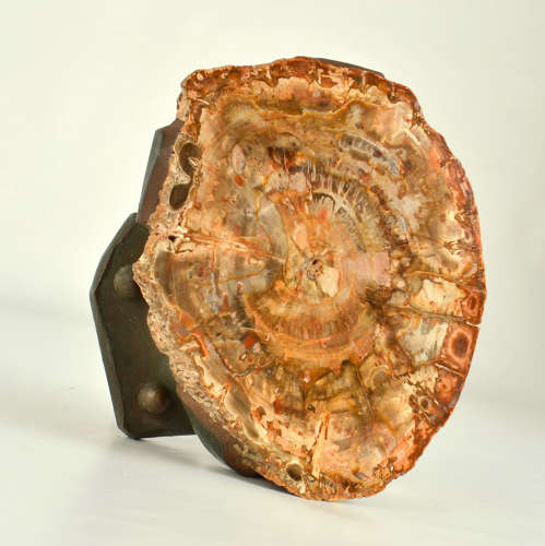 Architectural Push Pull Door Handle in Petrified Wood and Bronze