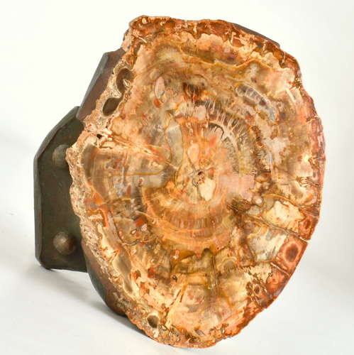 Architectural Push Pull Door Handle in Petrified Wood and Bronze